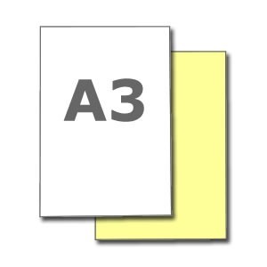 250 liasses autocopiantes 2 feuillets A3